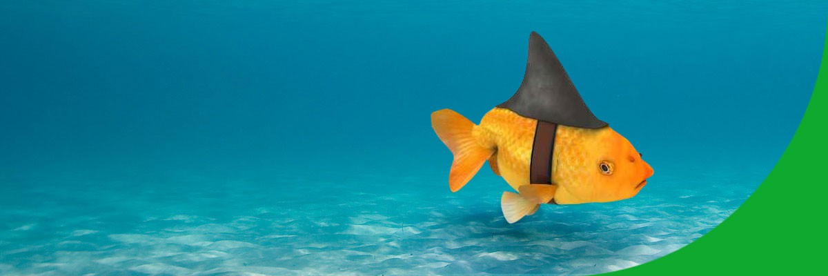 wir-machen-ihnen-nichts-vor-2